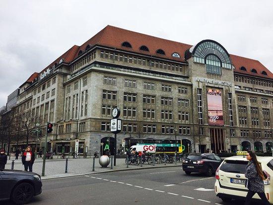 WITTY'S Organic Food